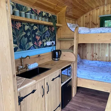 Woodie The Shepherds Hut - Sleeps 4 Chichester Exterior photo