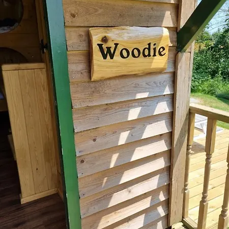 Woodie The Shepherds Hut - Sleeps 4 Chichester Exterior photo