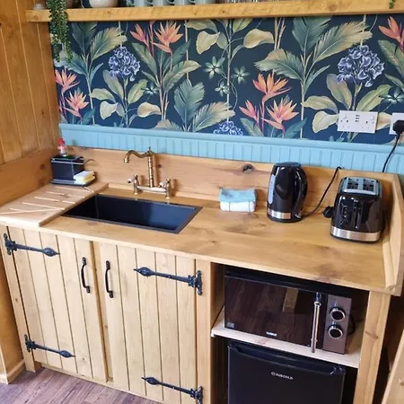 Woodie The Shepherds Hut - Sleeps 4 Chichester Exterior photo